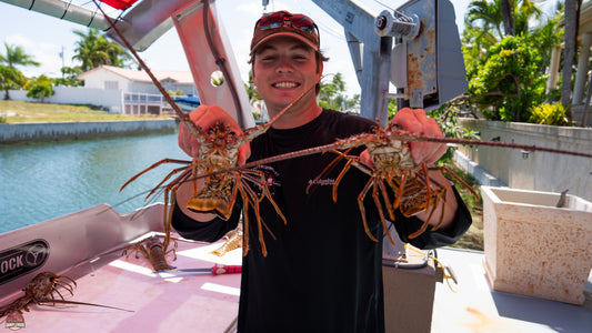 Mini Lobster Season in the Florida Keys